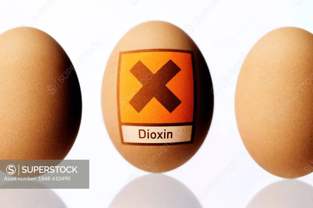 Chicken egg with a hazard sign, symbolic image for dioxin contamination in chicken eggs