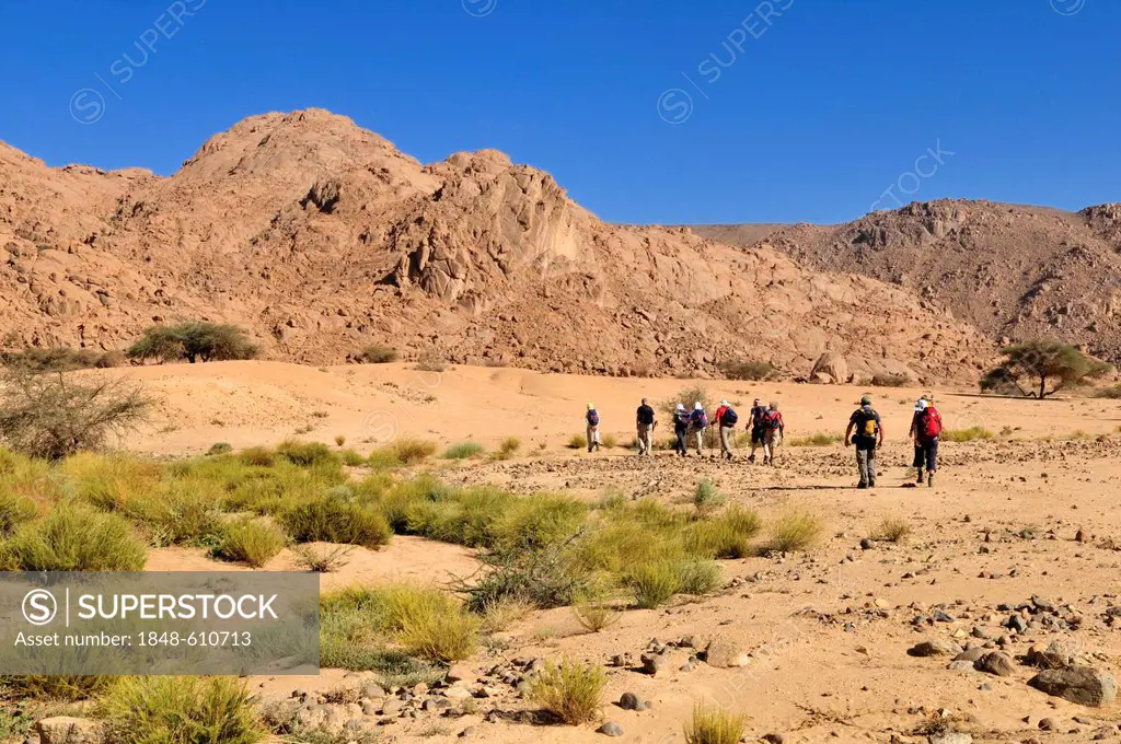 Group of tourists hiking through granite landscape, Hoggar, Ahaggar Mountains, Wilaya Tamanrasset, Algeria, Sahara, North Africa