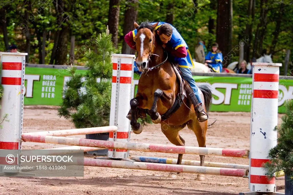 Horse riding, skill competition, Ueberetscher Ritt tournament, Eppan, South Tyrol, Italy, Europe