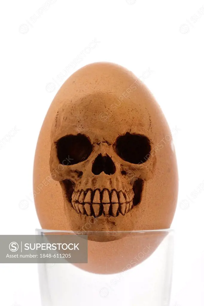 Skull, egg, symbolic image for contaminated food, dioxin, animal feed scandal