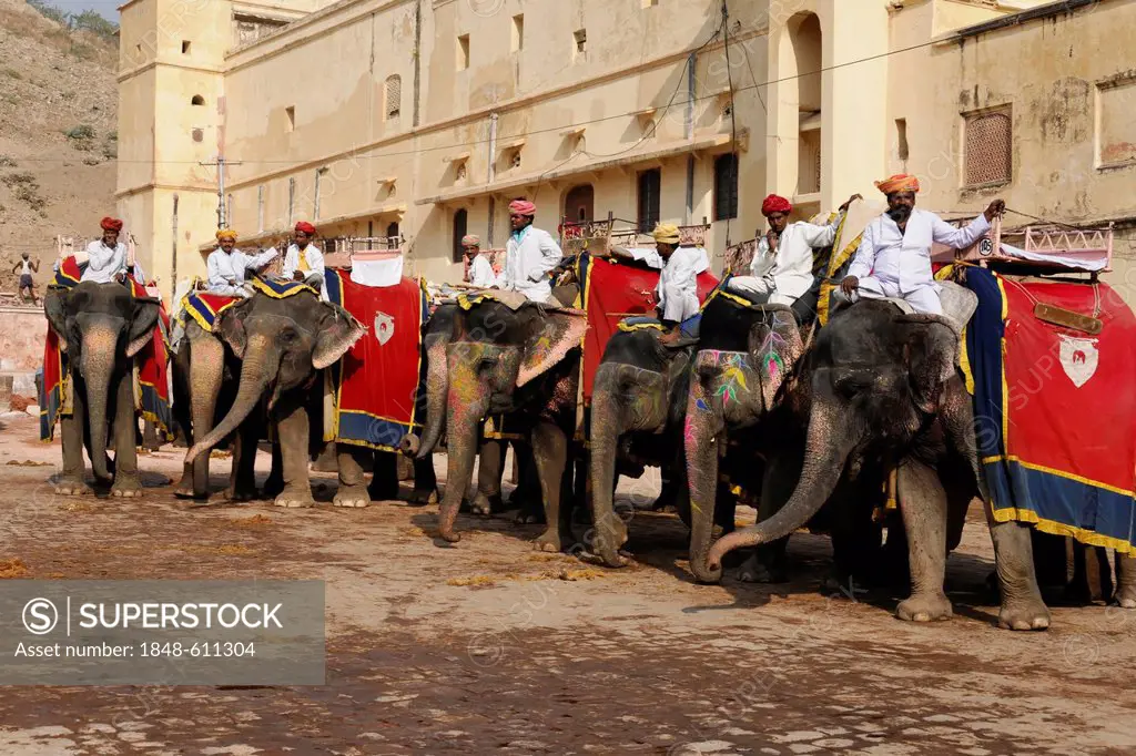 Elephant ride to Amber Palace, Rajasthan, northern India, Asia