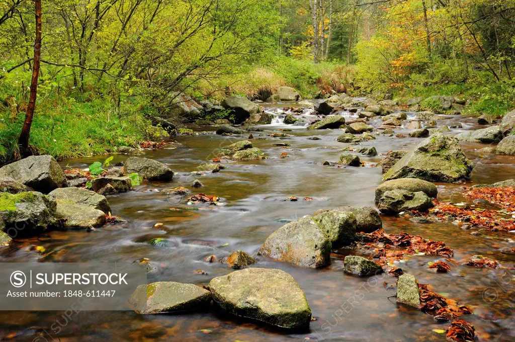 Bode River in autumn near Braunlage, Lower Saxony, Germany, Europe