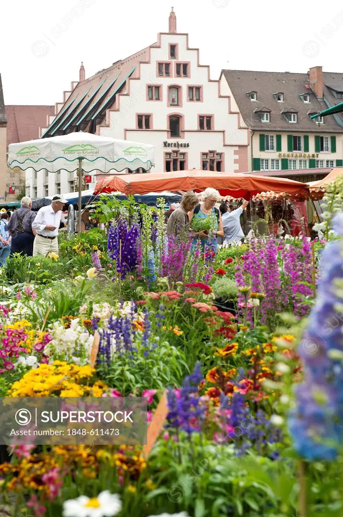 Muenstermarkt markets, Freiburg im Breisgau, Baden-Wuerttemberg, Germany, Europe