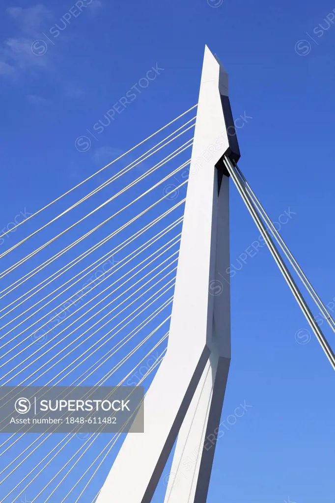 Cable-stayed bridge, bridge pier, pylon, Erasmus Bridge, Erasmusbrug, Rotterdam, Kop van Zuid, Netherlands, Europe