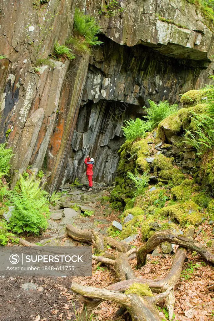 Woman standing at the entrance to a cave, Lake District National Park, Cumbria, England, United Kingdom, Europe