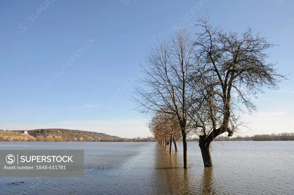 Floodwaters in the Saale-Unstrut rivers regions, Saxony-Anhalt, Germany, Europe