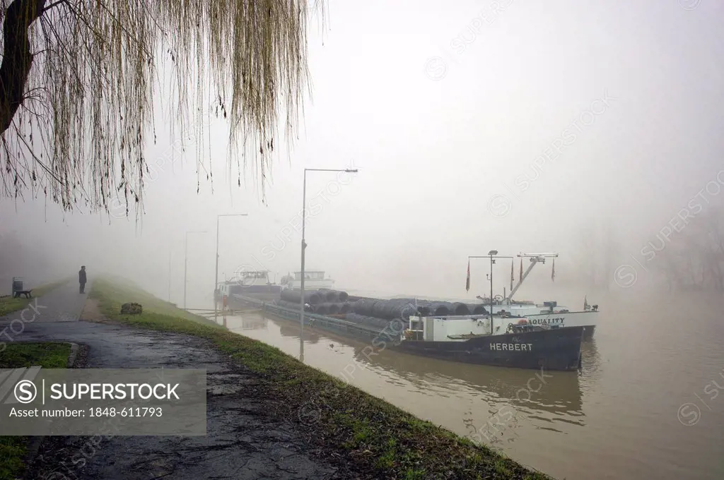 Ship anchored because of floodwaters on the Rhine river on a foggy day, flooded lock, Kostheim lock, Ginsheim-Gustavsburg, Germany, Europe
