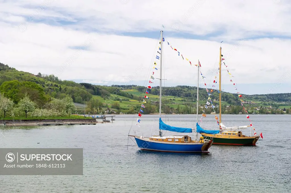 Sailboats at Untersee Lake near Steckborn, Canton Thurgau, Lake Constance, Switzerland, Europe