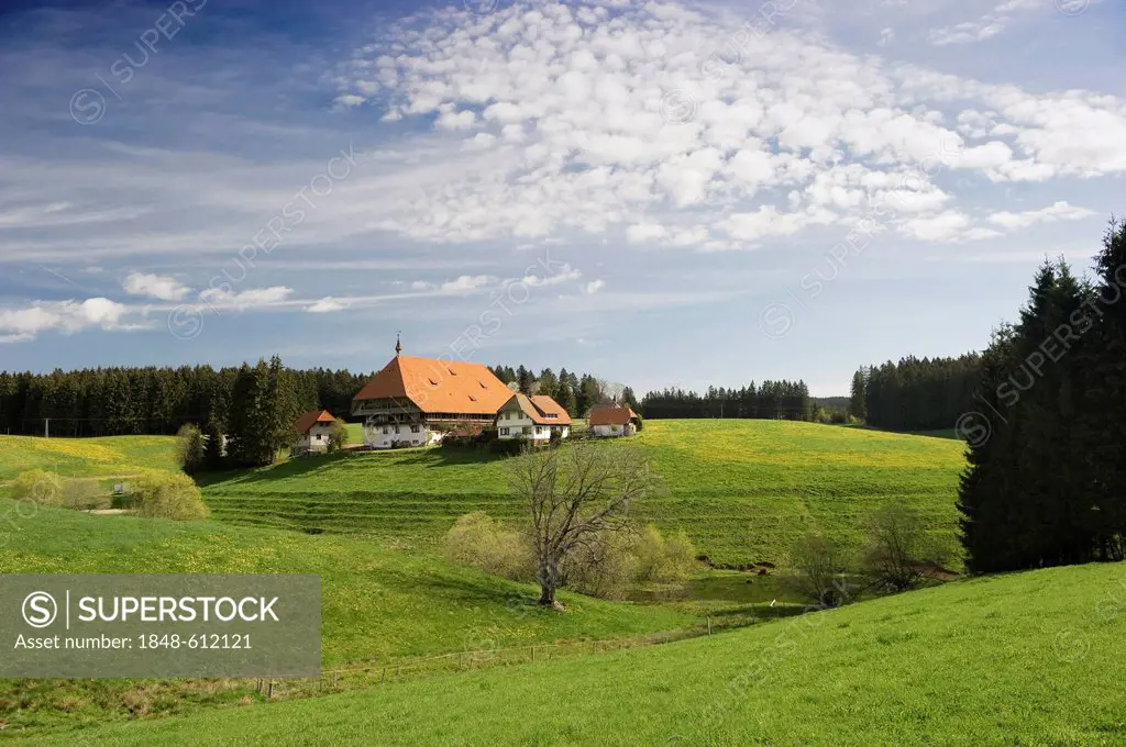 Oberfallengrundhof farmhouse near Furtwangen, Black Forest, Baden-Wuerttemberg, Germany, Europe