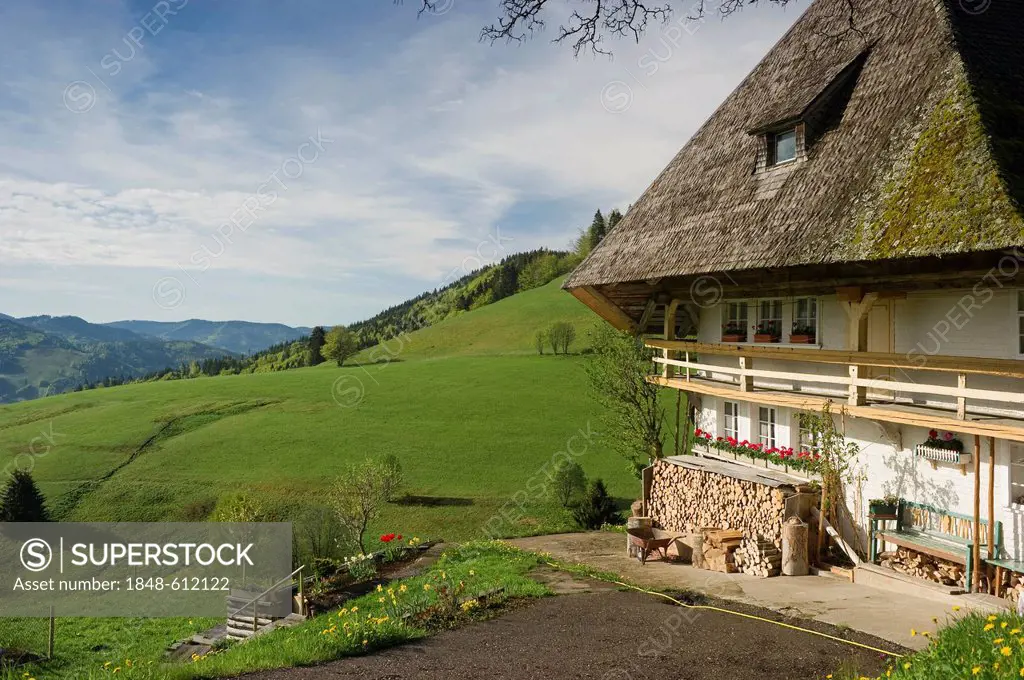 Old Black Forest farmhouse, Muggenbrunn near Todtnau, Black Forest, Baden-Wuerttemberg, Germany, Europe