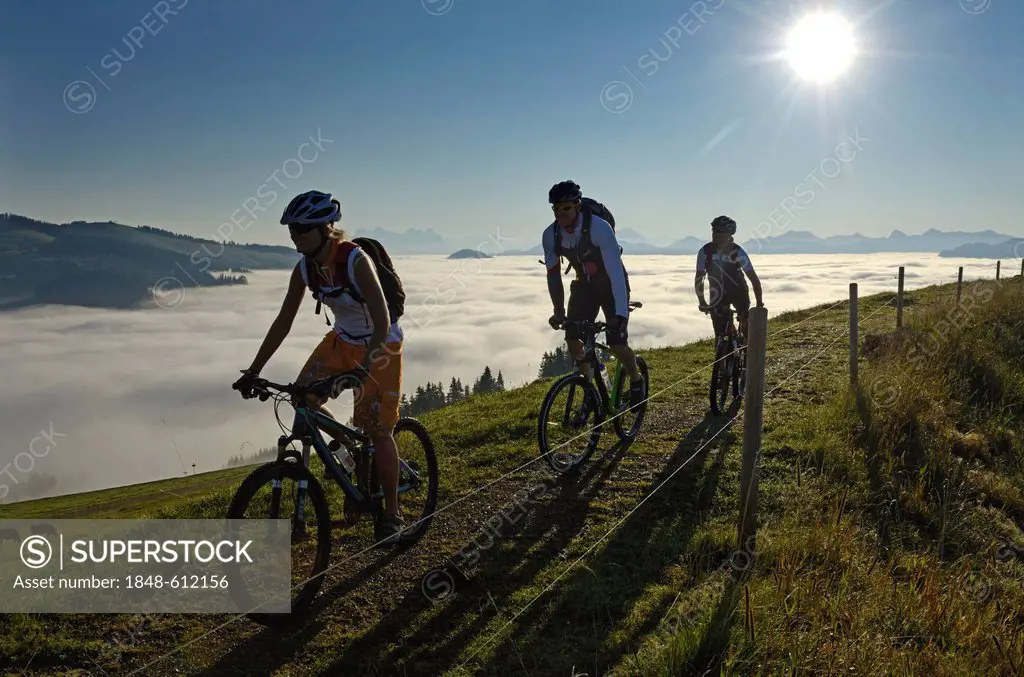 Mountain bikers at Salvensee Lake, Mt Hohe Salve, Mt Kitzbueheler Horn, Kitzbuehel Alps, Tyrol, Austria, Europe