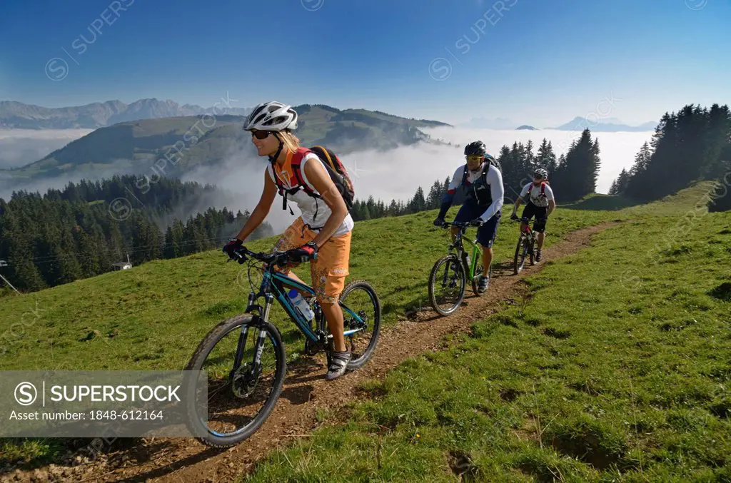 Mountain bikers, Mt Hohe Salve, Kitzbuehel Alps, Tyrol, Austria, Europe