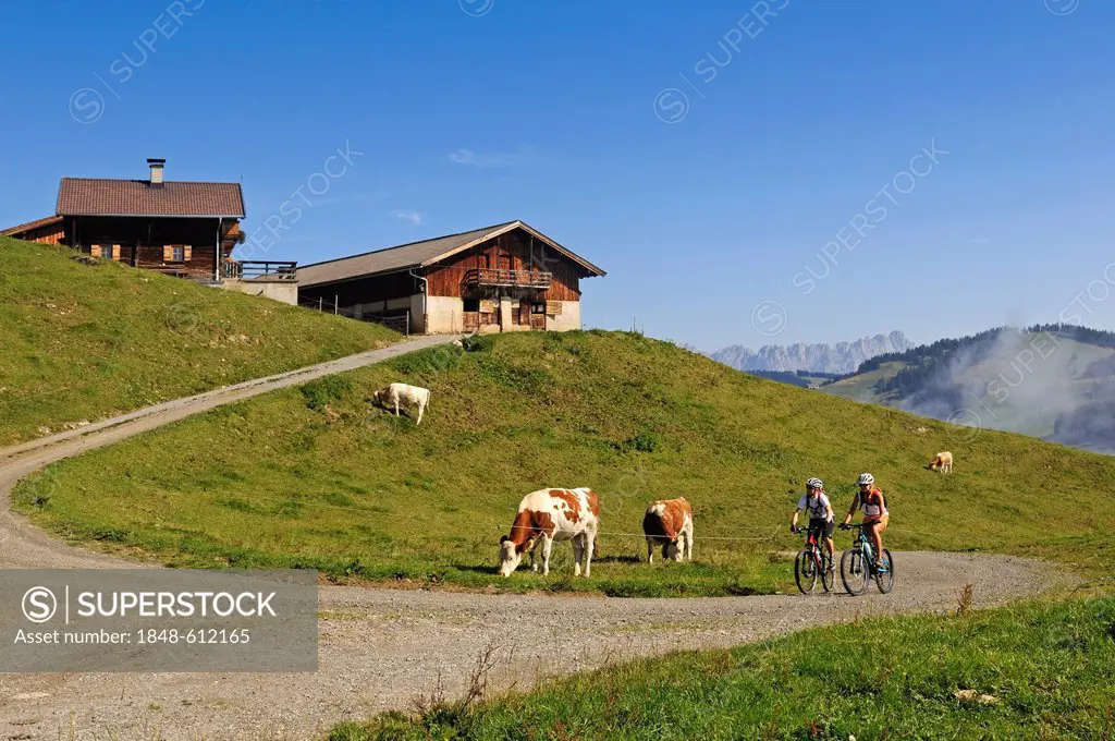 Old farmhouses, Mt Hohe Salve, Kitzbuehel Alps, Tyrol, Austria, Europe