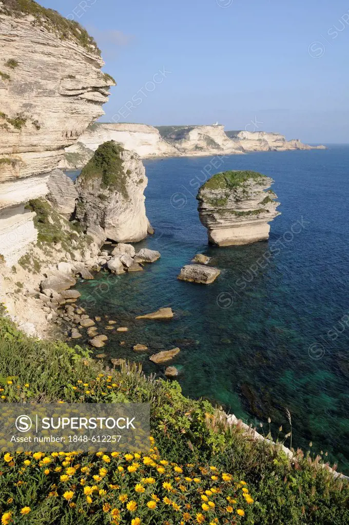 White limestone cliffs at Bonifacio, Bunifaziu, Corsica, France, Europe