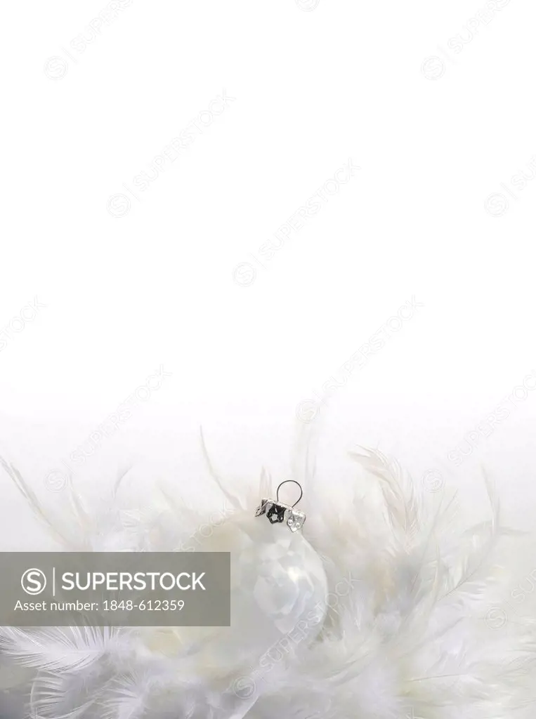 White Christmas bauble between feathers