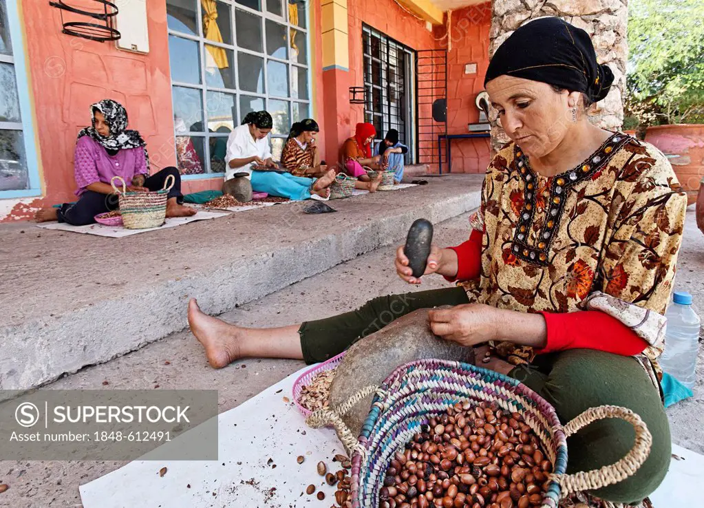 Women pounding Argan (Argania spinosa) nuts with a stone to get the argan almonds, in the women cooperative Ajdique in Tidzi, near Essaouira, Morocco,...