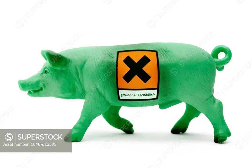 Green miniature pig with health warning sticker, symbolic image for contaminated pork