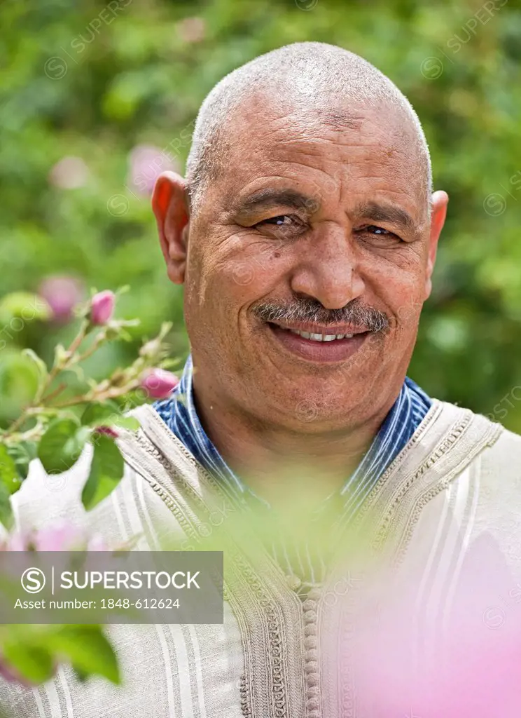 Si Ahmed Ali Elhoucine, owner of part of an oasis where Damask Roses (Rosa damascena) are organically grown, Valley of Roses, Dades Valley, southern M...