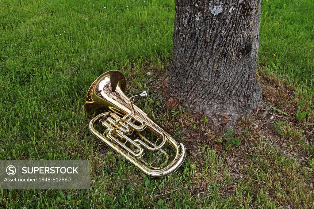 Tuba lying on grass