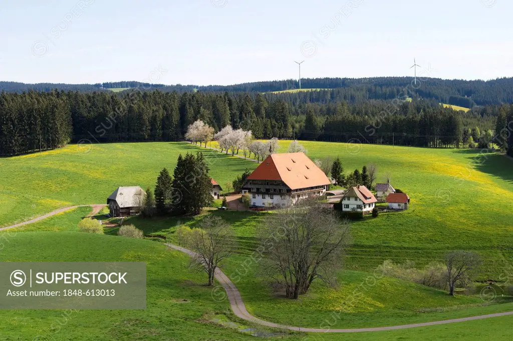 Oberfallengrundhof farmhouse near Furtwangen, Black Forest, Baden-Wuerttemberg, Germany, Europe