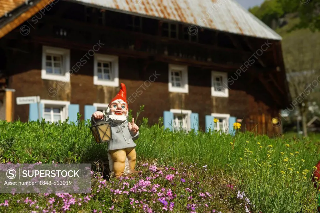 Old Black Forest farmhouse with a garden gnome, Bernau, Black Forest, Baden-Wuerttemberg, Germany, Europe