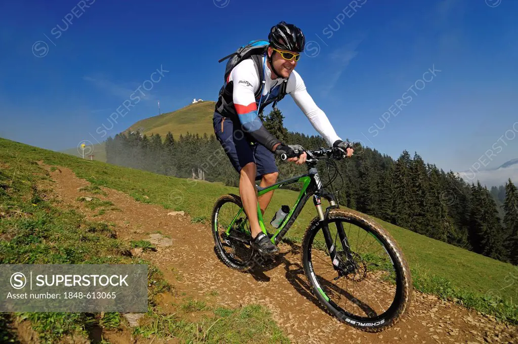Mountain biker, Mt Hohe Salve, Kitzbuehel Alps, Tyrol, Austria, Europe
