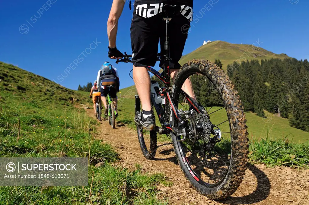 Mountain bikers, Mt Hohe Salve, Kitzbuehel Alps, Tyrol, Austria, Europe