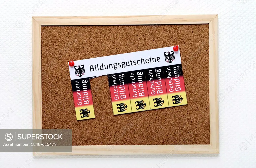 Vouchers on a noticeboard, lettering Bildungsgutscheine, German for education vouchers, symbolic image