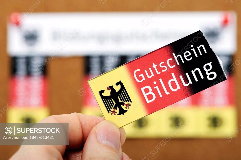 Hand holding a voucher, Bildungsgutschein coupon, lettering Gutschein Bildung, German for education voucher, symbolic image