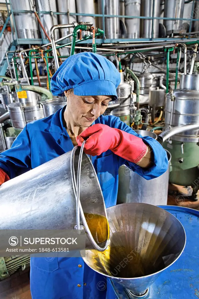 Freshly pressed lemon oil being poured from a bucket into a barrel by a female worker in a juice and oil factory for citrus fruits, Barcellona, Sicily...