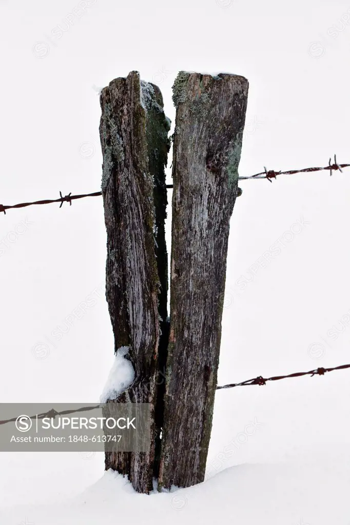 Fence post in the snow, Bergneustadt, North Rhine-Westphalia, Germany, Europe