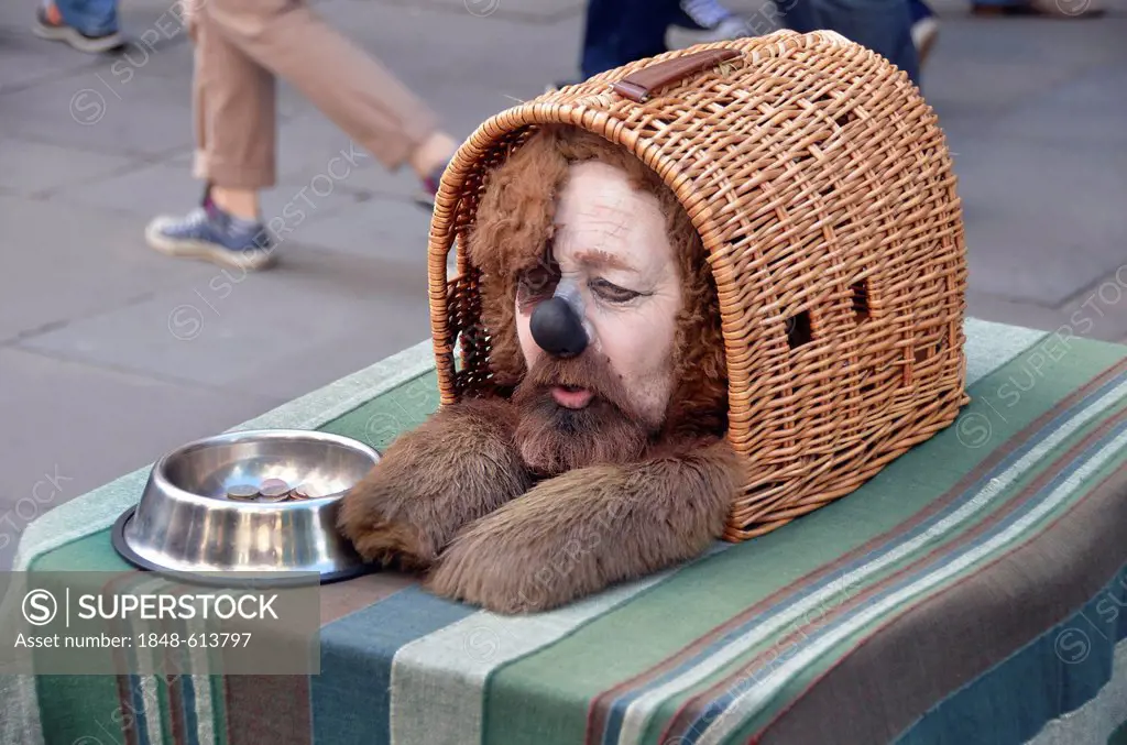 Street performer dressed as a dog in Covent Garden, London, England, United Kingdom, Europe