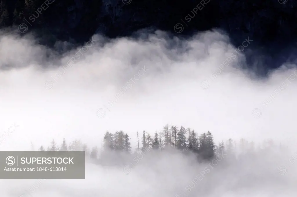 View of a misty valley as seen from Jenner mountain, district of Berchtesgadener Land, Upper Bavaria, Bavaria, Germany, Europe