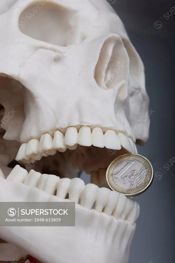 Skeleton with a euro-coin between its teeth, symbolic image of the euro crisis