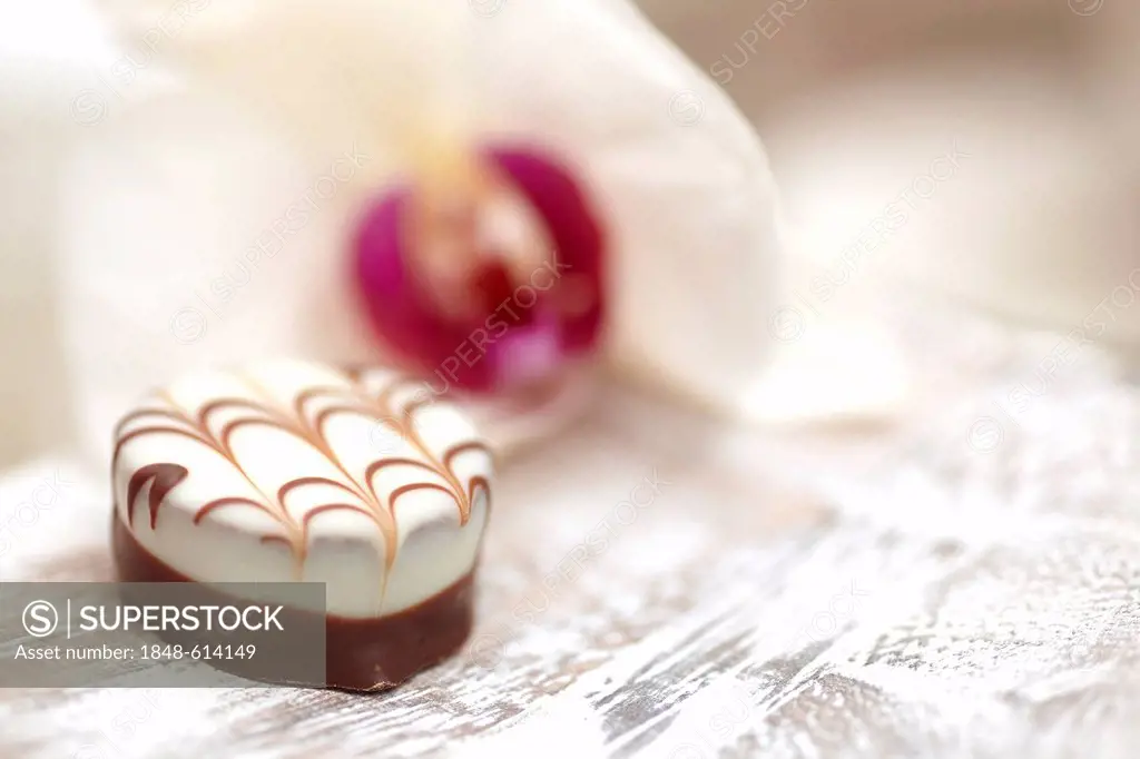Chocolate on a tray, behind an orchid