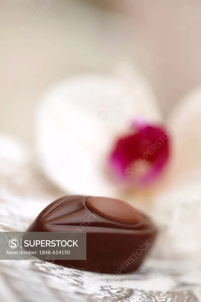 Chocolate on a tray, behind an orchid