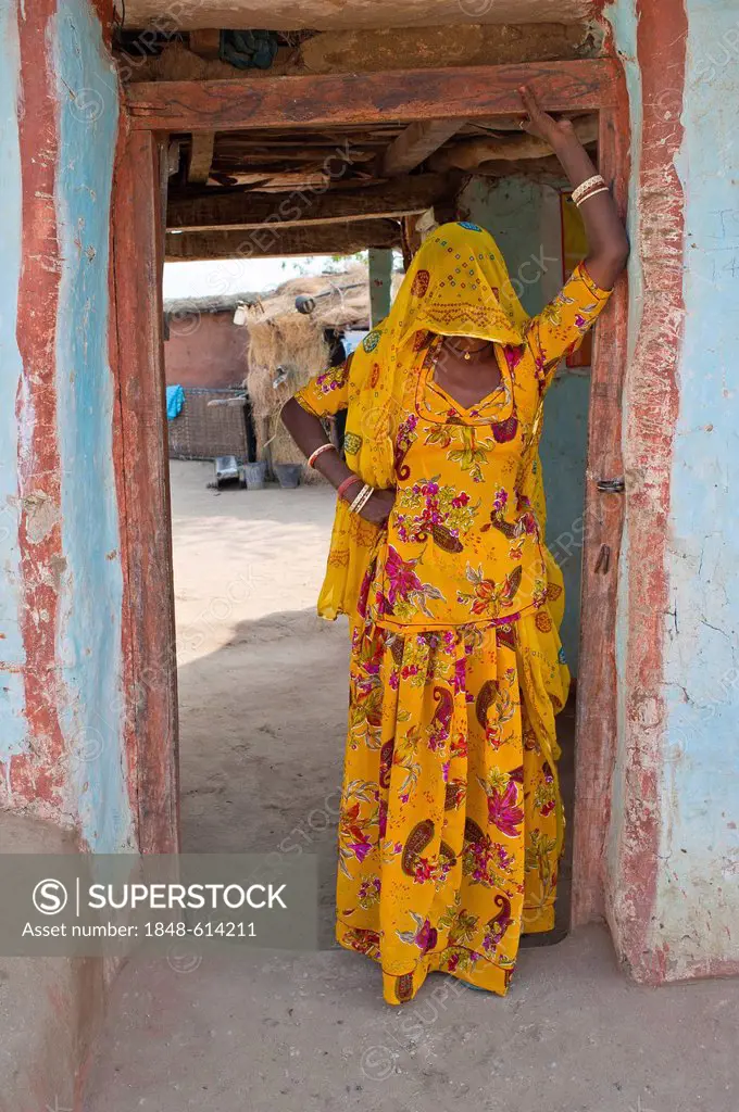 Young veiled Indian woman in a sari looking curiously from her entrance, Bishnoi, Jodhpur, Rajasthan, India, Asia