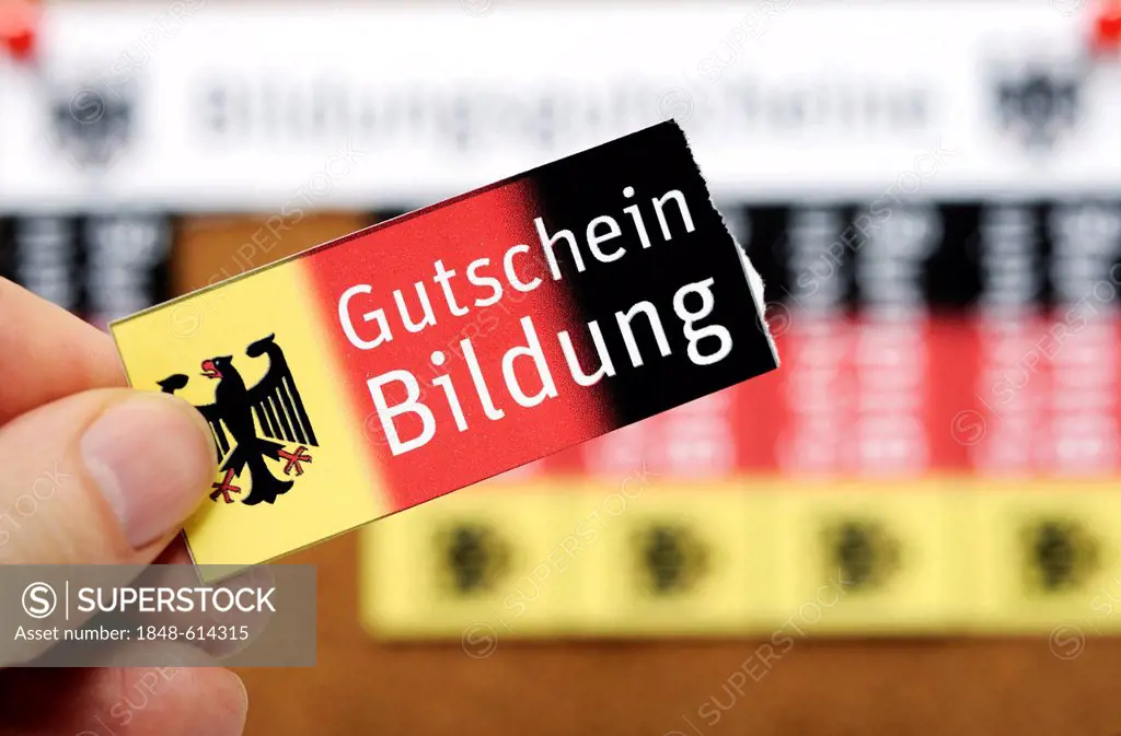 Vouchers on a noticeboard, lettering Bildungsgutscheine, German for education vouchers, symbolic image