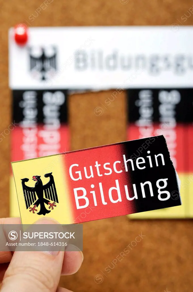 Vouchers on a noticeboard, Bildungsgutschein coupons, lettering Gutschein Bildung, German for education voucher, symbolic image