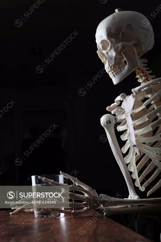 Skeleton holding a glass of water in its hand