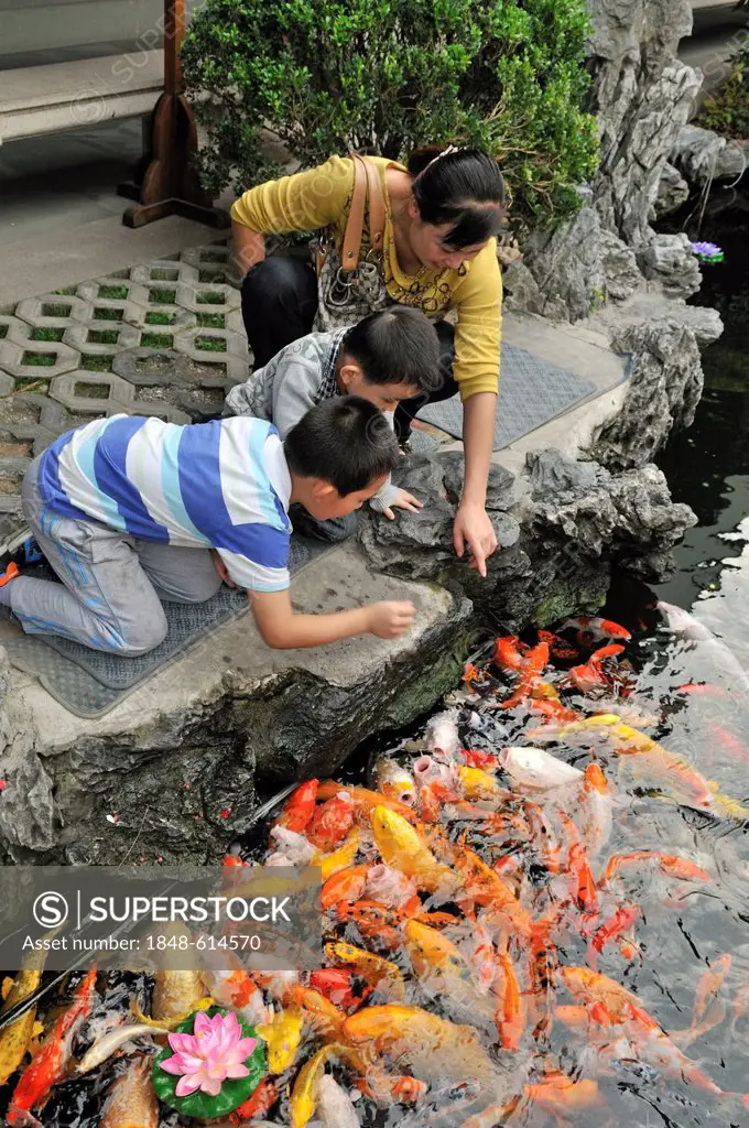 Visitors at the koi pond at the Jade Buddha Temple, Shanghai, China, Asia