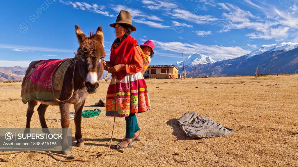 Woman wearing a red traditional dress carrying a baby, with a donkey, Huaraz, Andes, Peru, South America