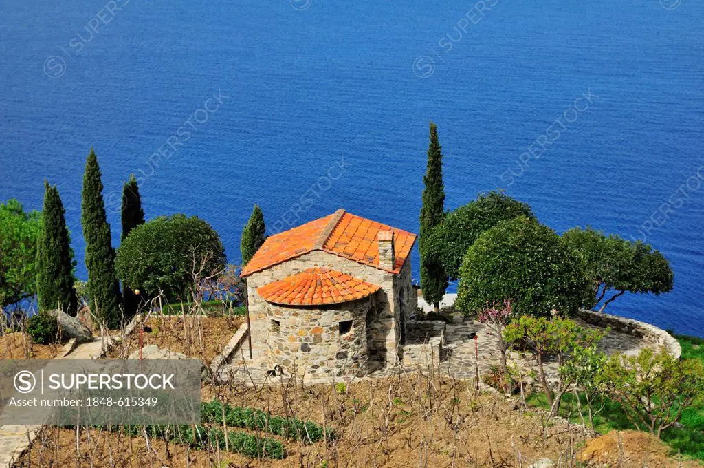Villa with cypresses on the cliffs in the west, Chiessi, Elba, Tuscany, Italy, Europe
