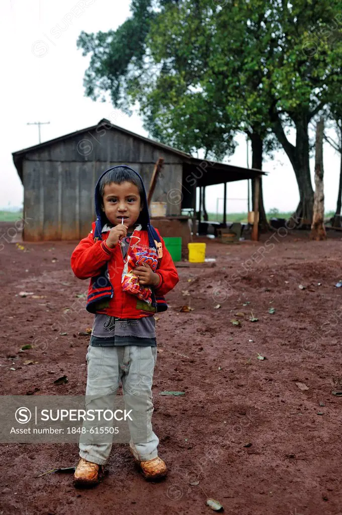 Little boy whose parents, alongside dozens of other smallholders and their families, were evicted by investors from their land and now live in makeshi...