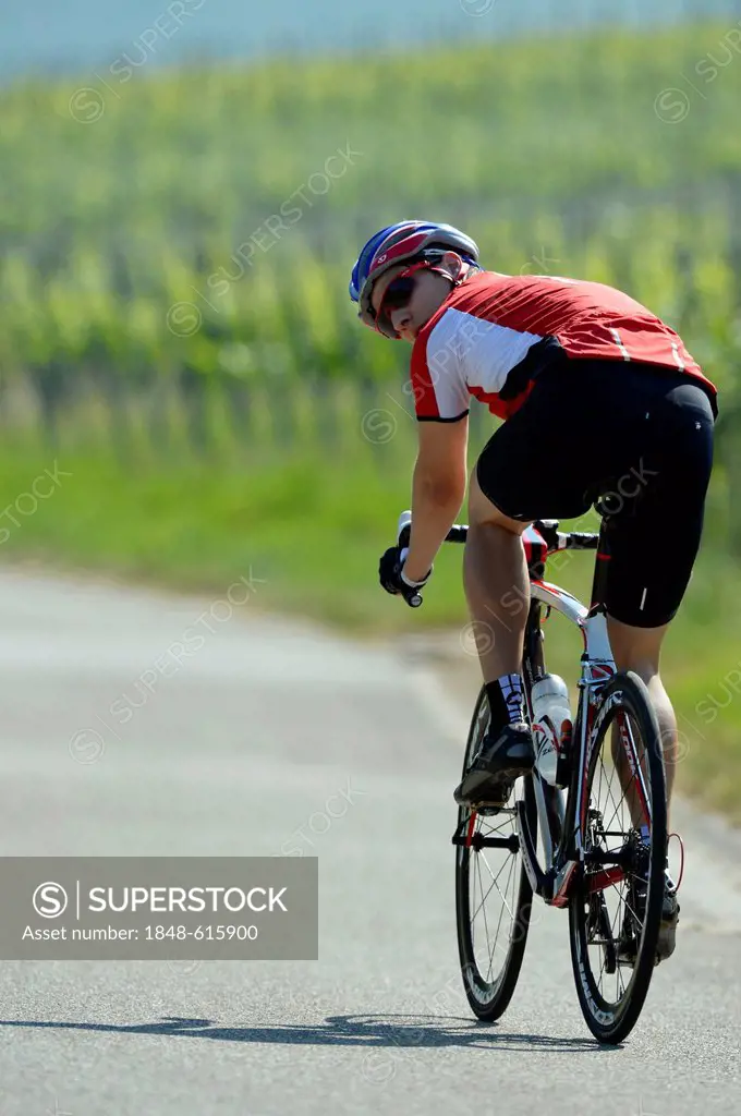 Cyclist riding a high-quality carbon road bike, looking backwards, Weinstadt, Baden-Wuerttemberg, Germany, Europe