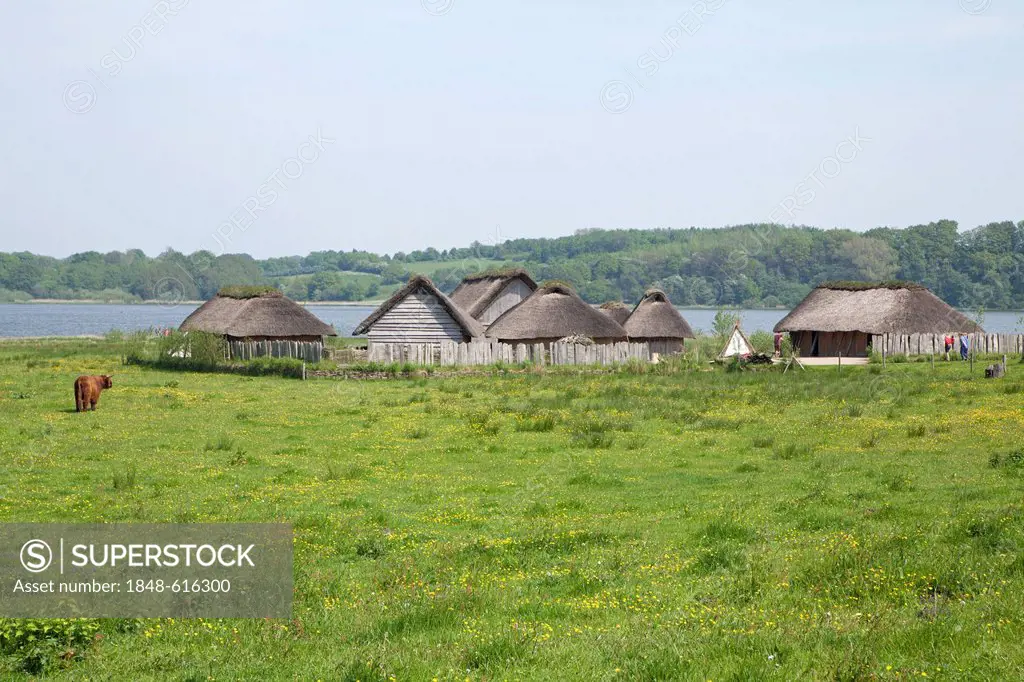 Vikings' houses, Hedeby, Schleswig, Schlei, Schleswig-Holstein, Germany, Europe