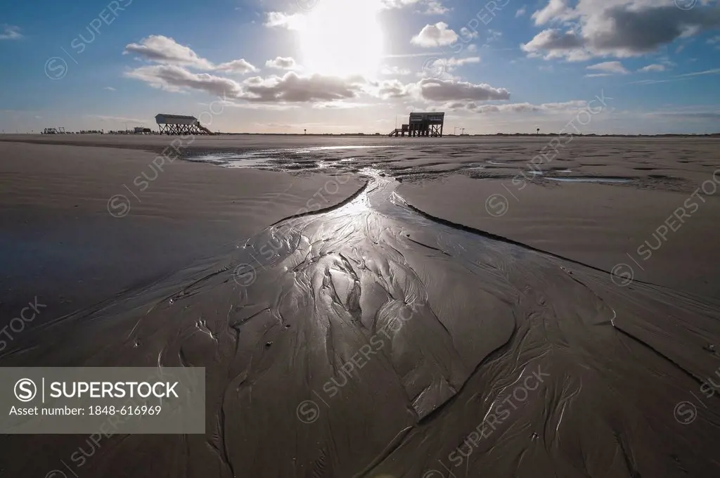 Beach of St. Peter-Ording in the morning sun, stilt houses at the back, North Sea, Schleswig-Holstein, Germany, Europe