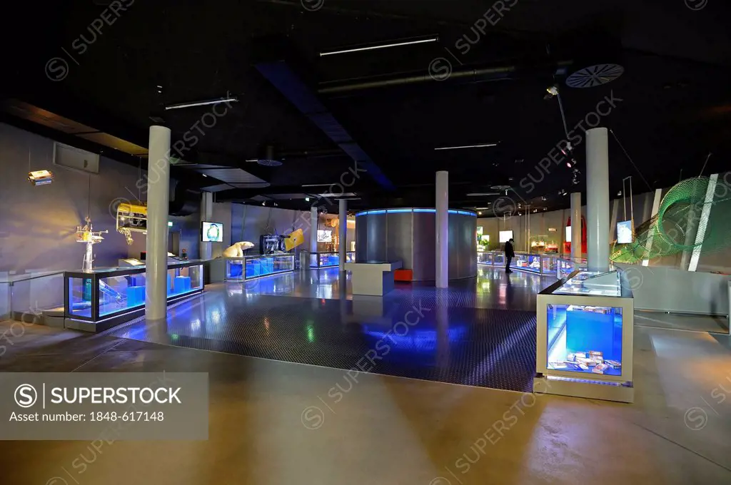 Exhibition space with display cases and preserved specimen at the Ozeaneum, Hanseatic City of Stralsund, Mecklenburg-Western Pomerania, Germany, Europ...