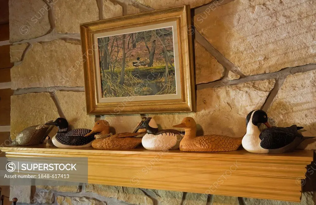Wooden duck and loon carvings on a fireplace mantle in the living room of a 1977 reproduction of an old Canadiana cottage-style residential log home, ...