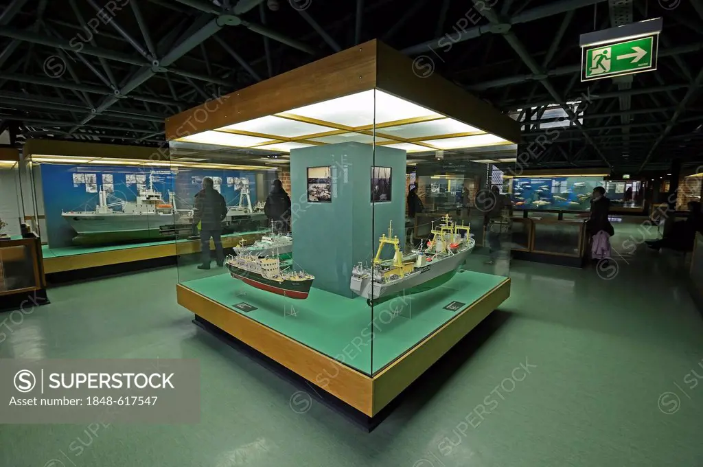 Exhibition at the Meeresmuseum, Oceanographic Museum, Hanseatic City of Stralsund, Mecklenburg-Western Pomerania, Germany, Europe, Property Release fo...